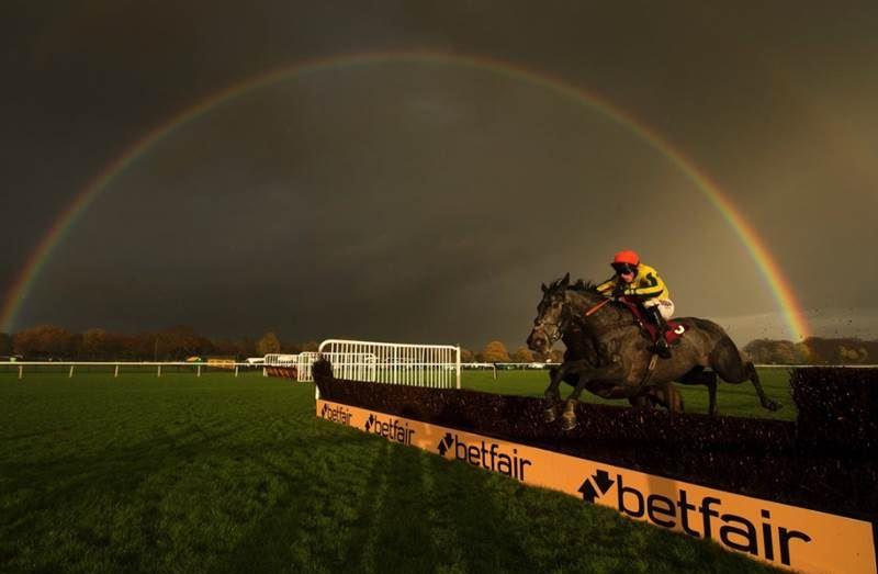 It's all about the stunning Betfair-sponsored card at Haydock today